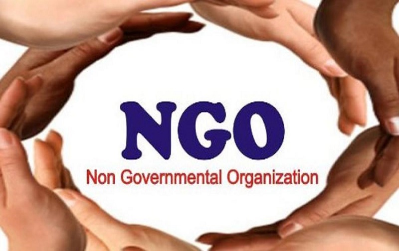 NGO یا سازمان های مردم نهاد NGO یا سازمان های مردم نهاد